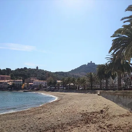 Apartamento 6qui10-1 - De Standing Avec Garage Et Ascenseur Pour 6 Personnes Collioure